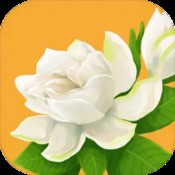 光遇全物品